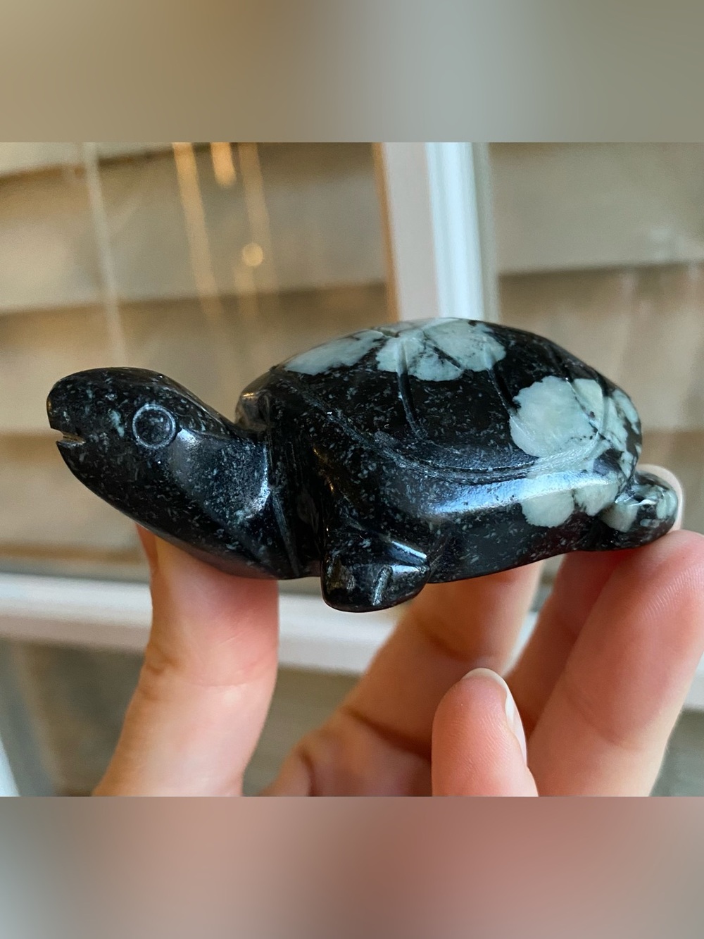 🐢🖤❄️ SNOWFLAKE OBSIDIAN TURTLES ❄️🖤🐢